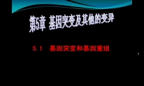 5.1基因突变和基因重组