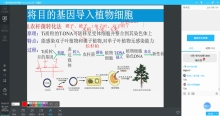 1.2基因工程的基本步骤c