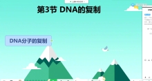 3.3 DNA的复制