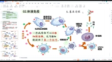 4.2 特异性免疫2