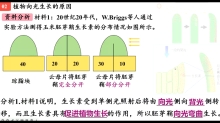 5.1.2 植物生长素