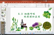 5.3.1细胞呼吸的原理和应用