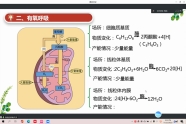 细胞呼吸2