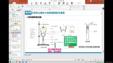 群落的主要类型及演替